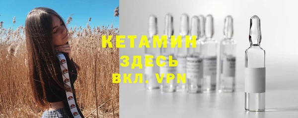 шишки Аркадак