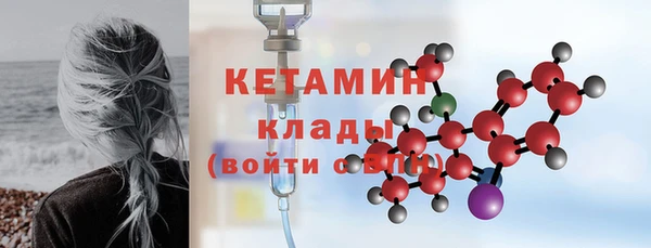 шишки Аркадак