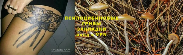 шишки Аркадак