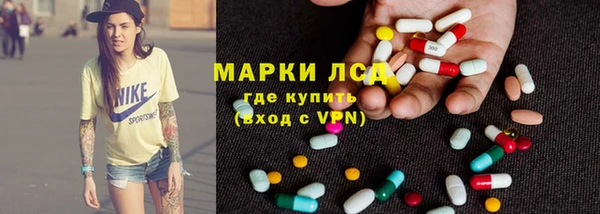 шишки Аркадак